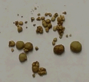 Foods that cause bladder stones hot sale in dogs